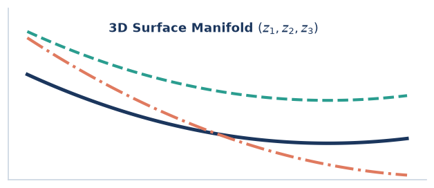 3D Surface Manifold